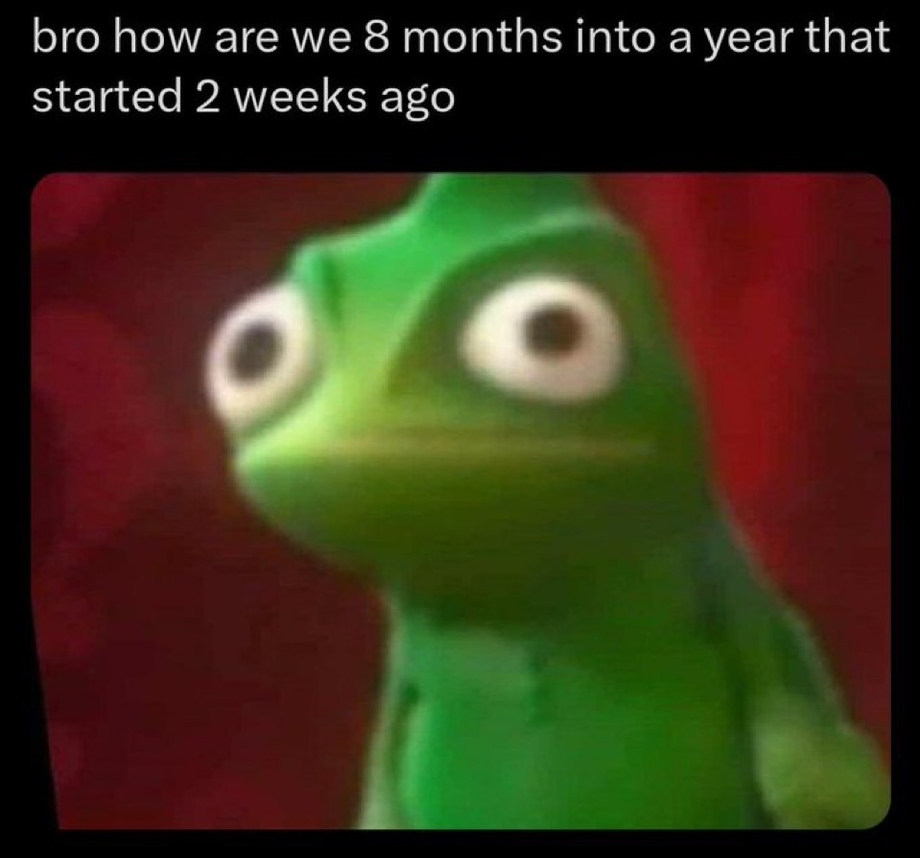 8 months into a year that started 2 weeks ago