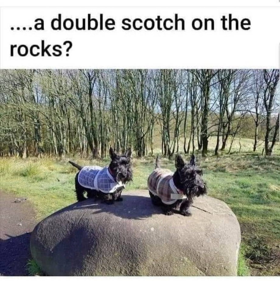 A double scotch on the rocks