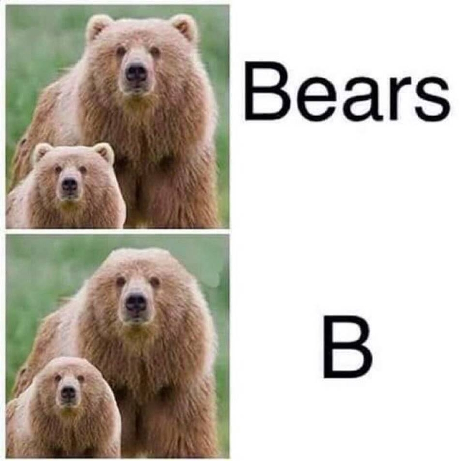 Bears with and without a B
