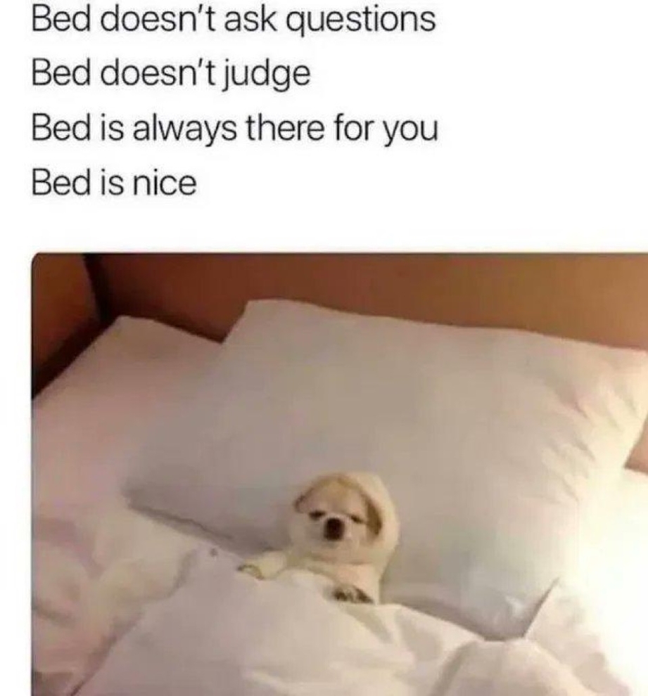 Bed does not ask questions. Bed does not judge.