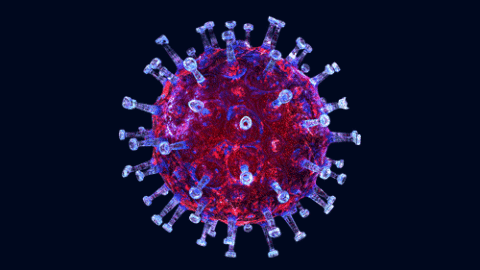 Covid virus under microscope
