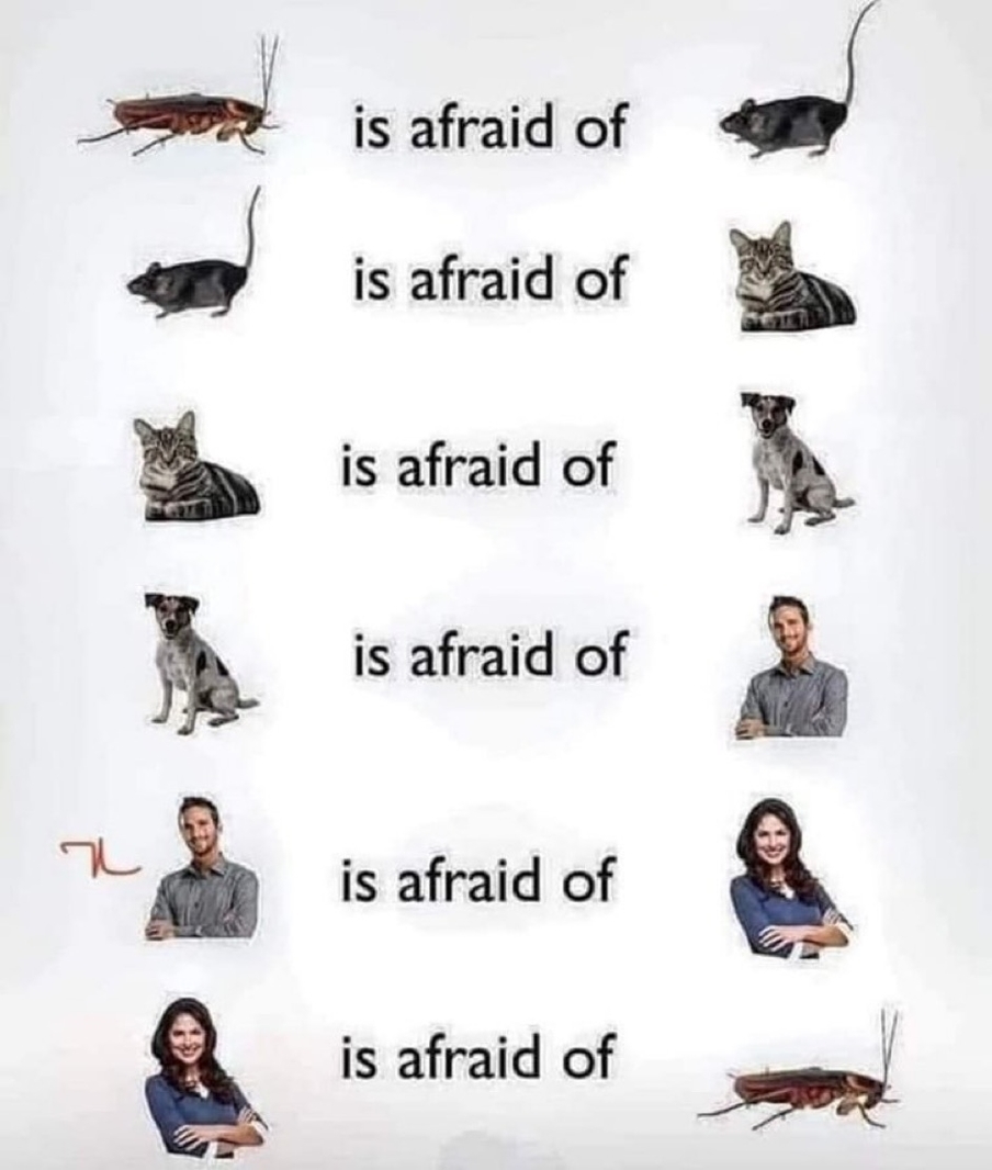 Cycle of life