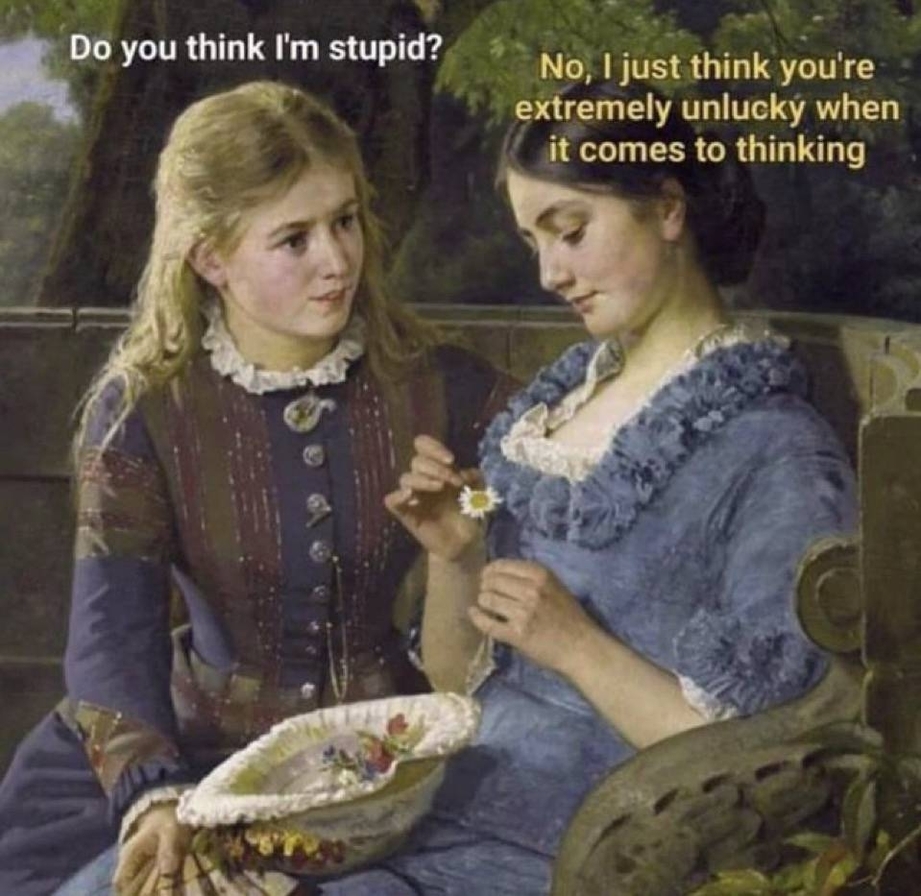 Do you think I am stupid