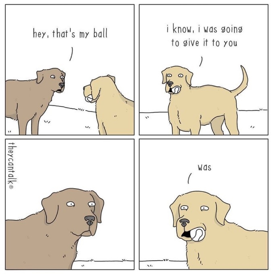 Dog – that is my ball – I know I was going to give to you – meme