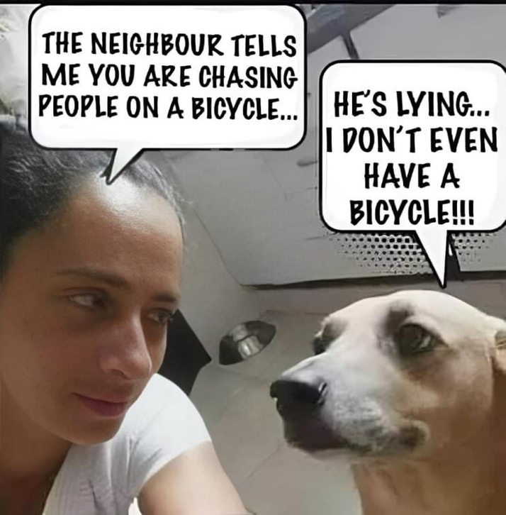 Dogs and bicycles meme