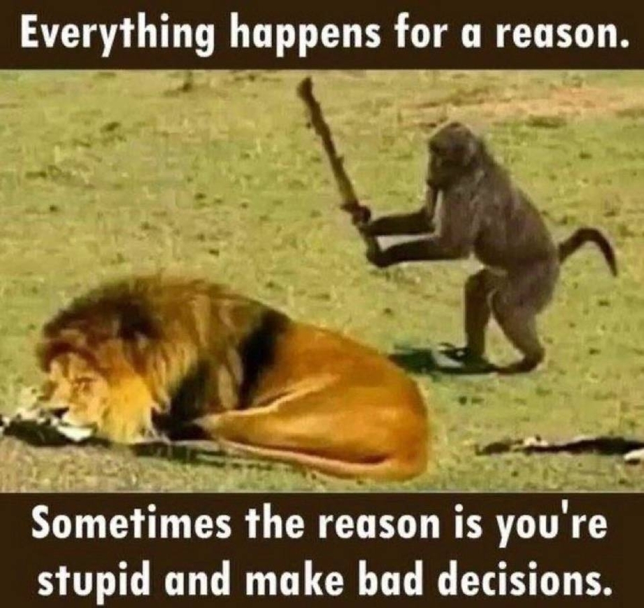 Everything happens for a reason meme