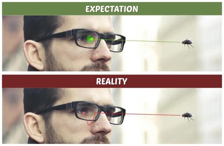 Fly expectation vs. reality