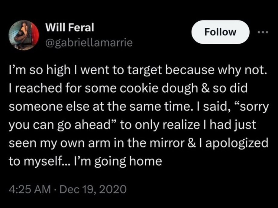 Getting high and looking into a mirror meme