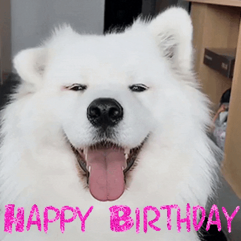 Happy Birthday Cute Dog Gif
