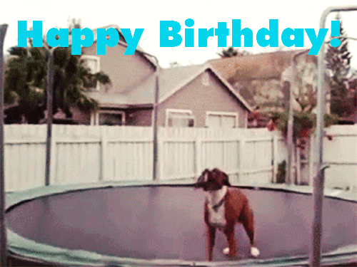 Happy Birthday Dog Jumping Gif