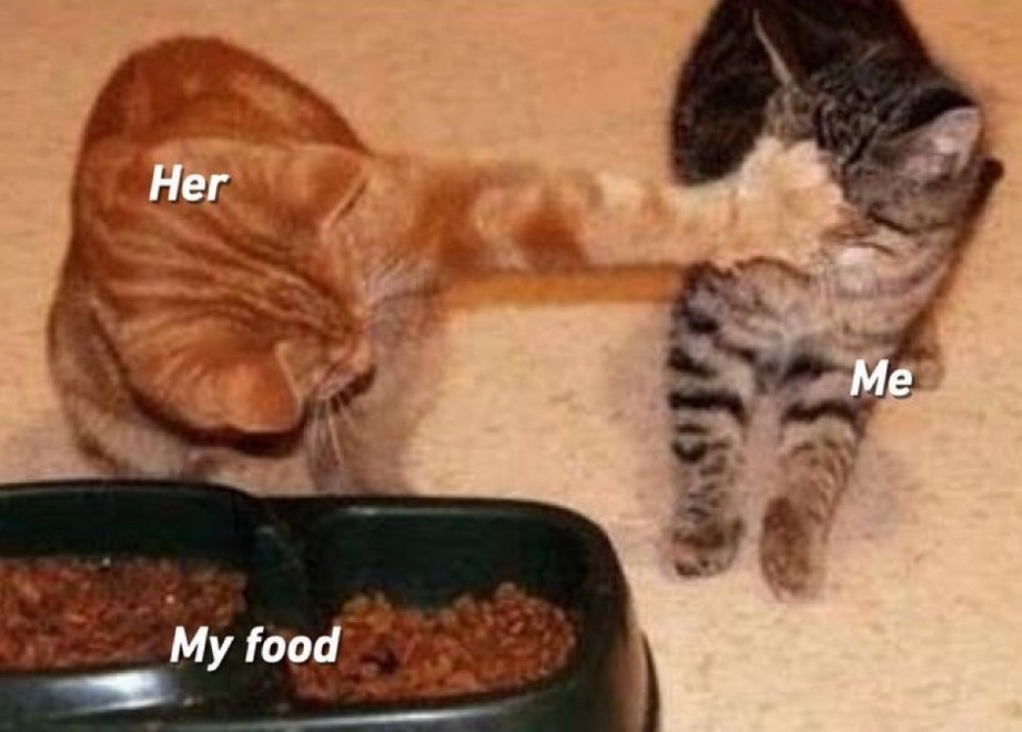 Her, my food and me meme