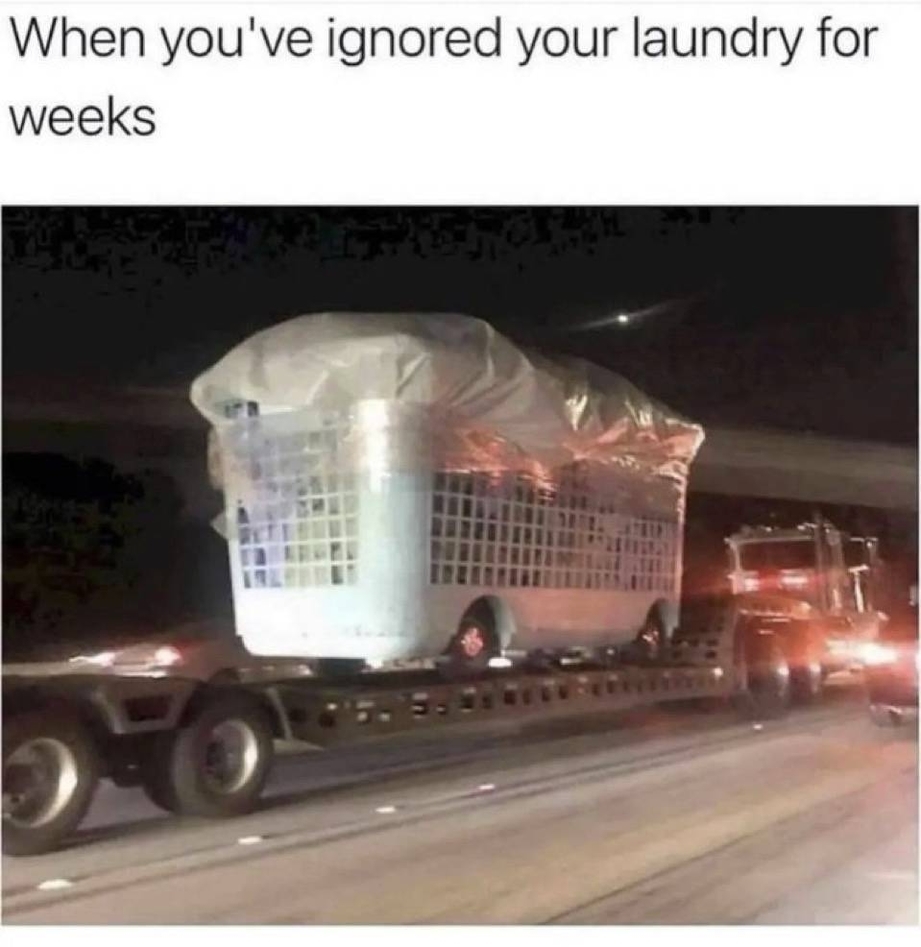 Ignored laundry for weeks meme