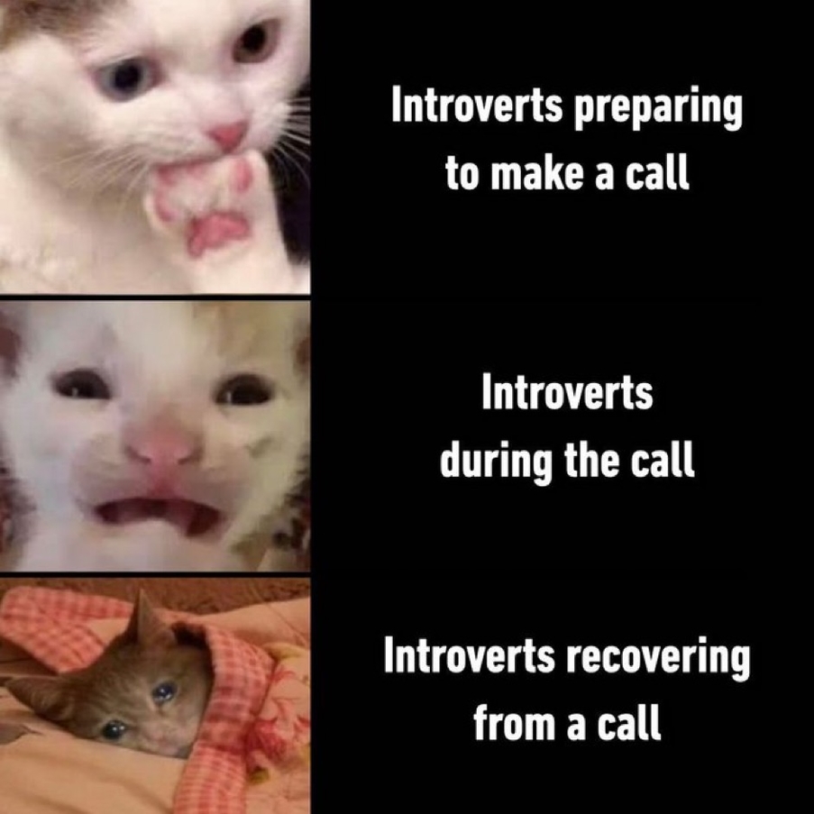 Introverts calling