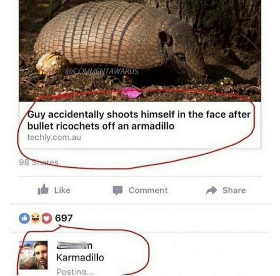 Karmadillo