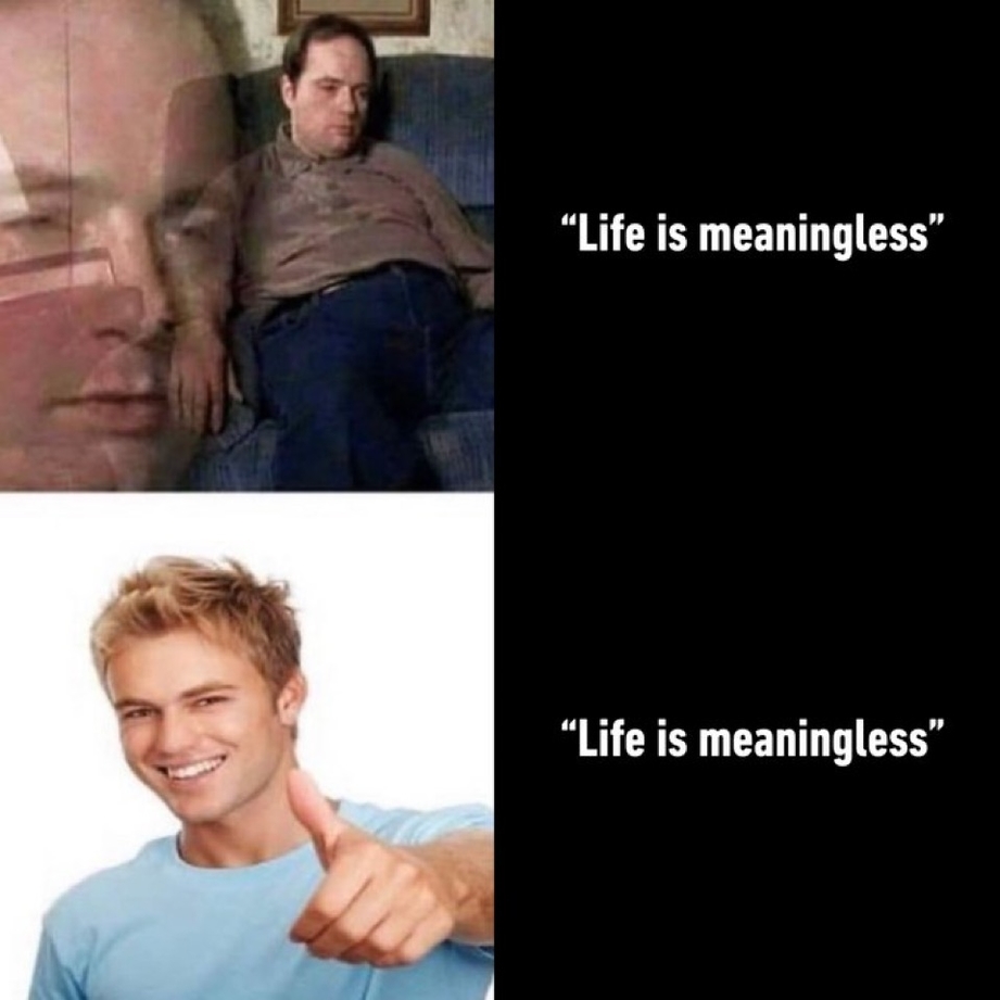 Life is meaningless a matter of perspective meme