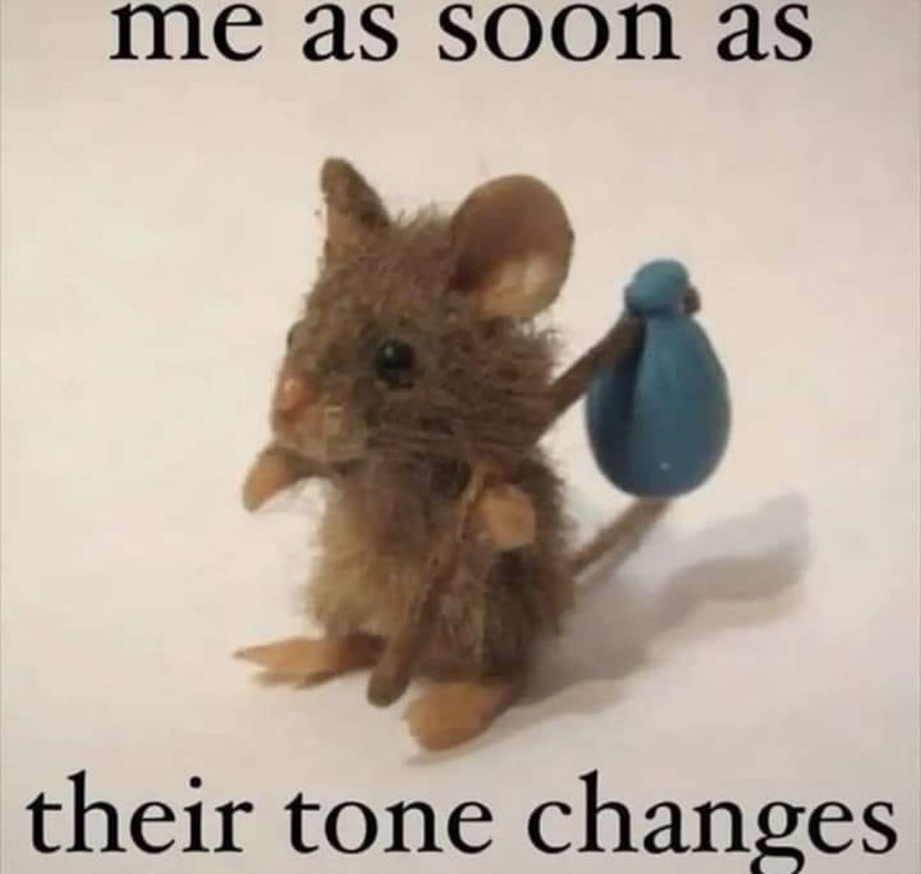 Me as soon as their tone changes
