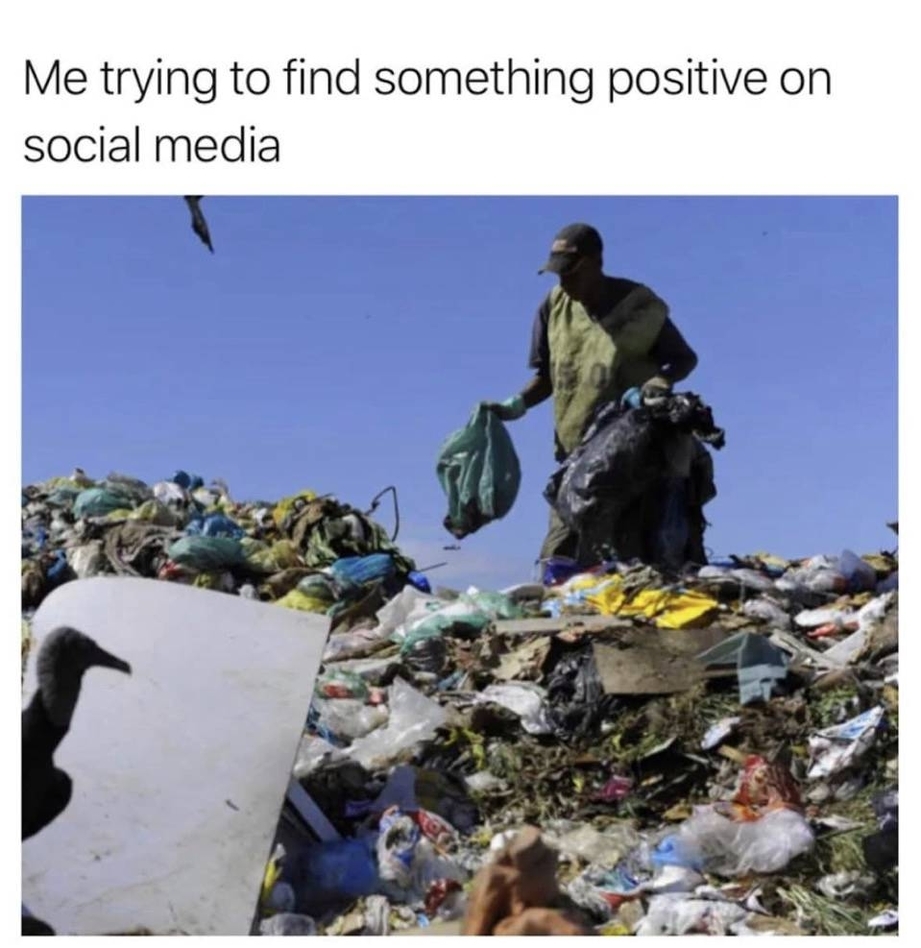 Me trying to find something positive on social media