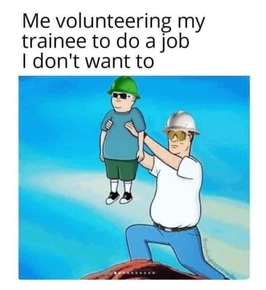 Me volunteering my trainee to do a job I dont want to