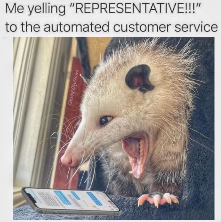 Me yelling representative to the automated customer service
