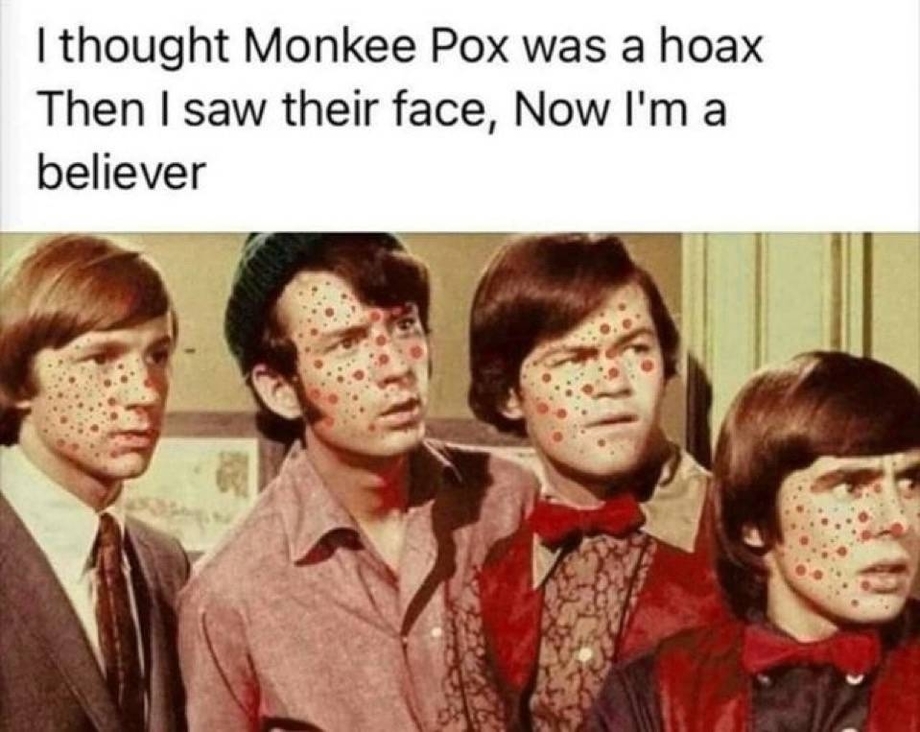 Monkee Pox was a hoax – then I saw their face, now I am a believer