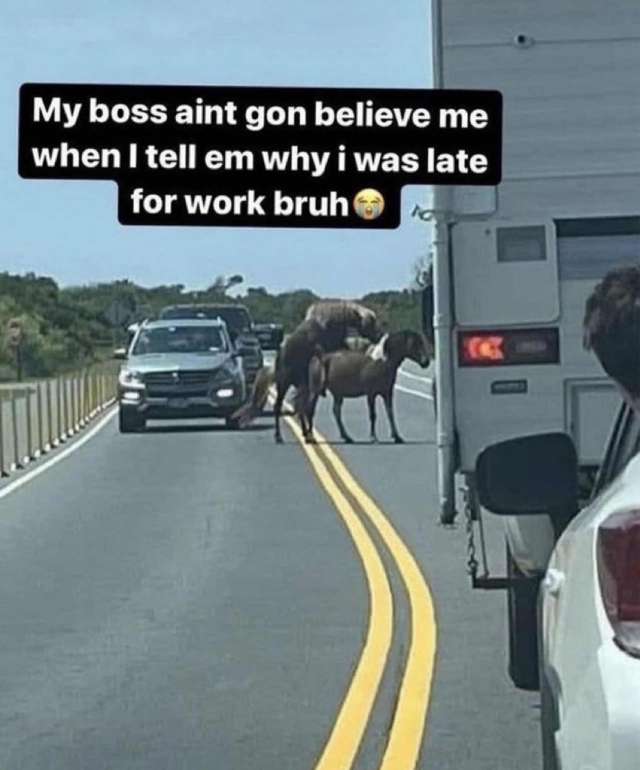My boss will not believe me when I tell him why I am late