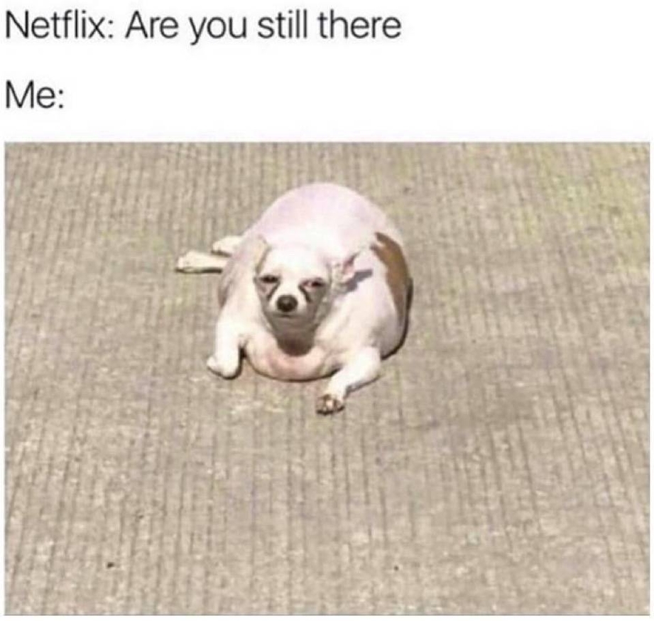 Netflix – are you still there