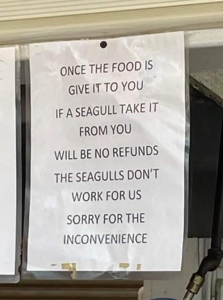 Seagulls taking food meme