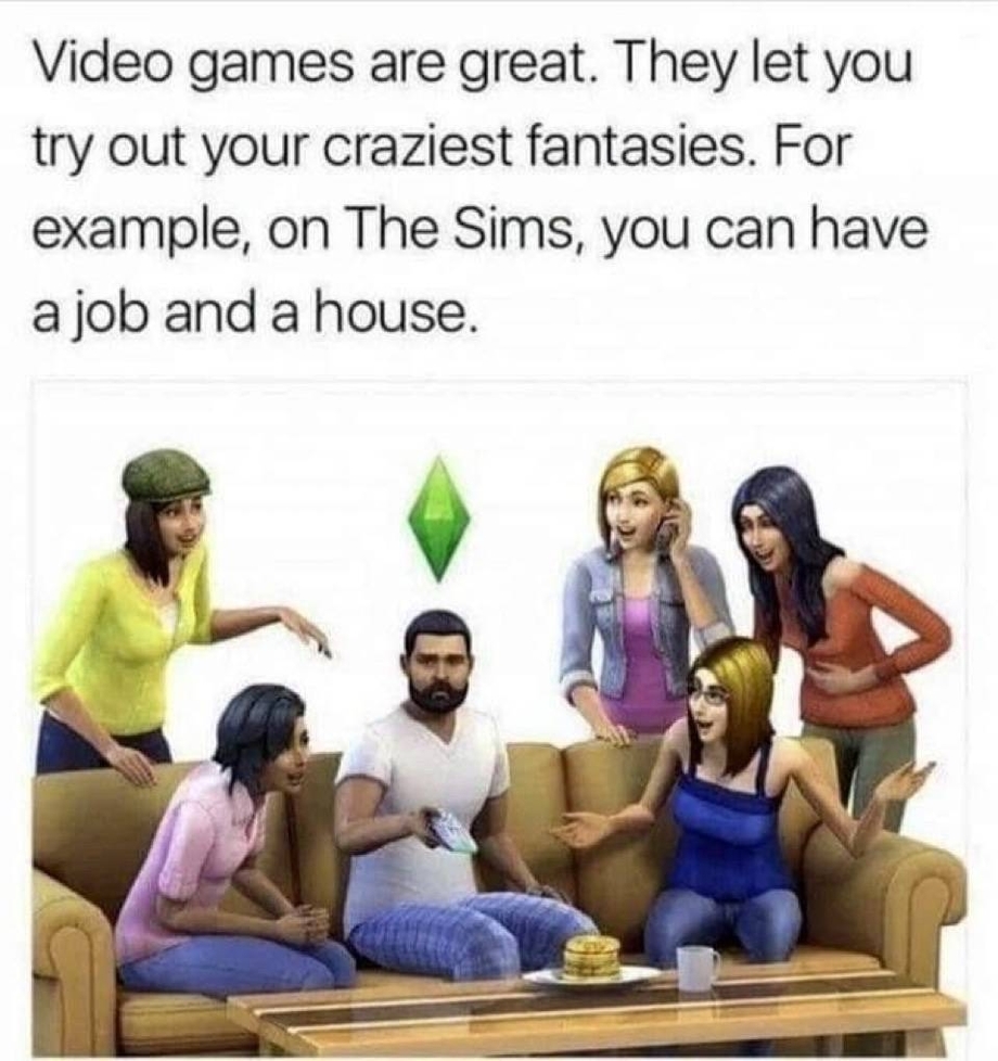 Sims crazies fantasies – job and a house