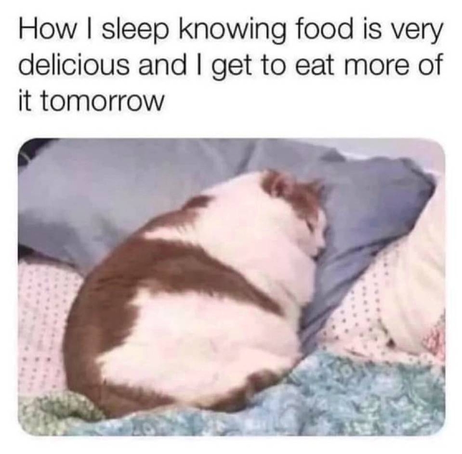 Sleeping knowing I eat more tomorrow