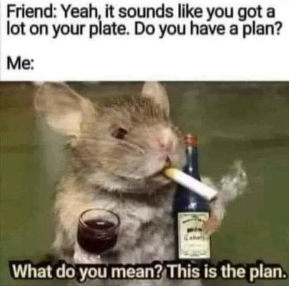 This is the plan meme