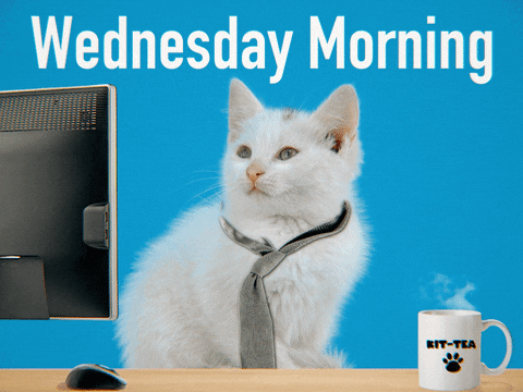 Tired Wednesday Morning GIF By GIPHY Studios Originals