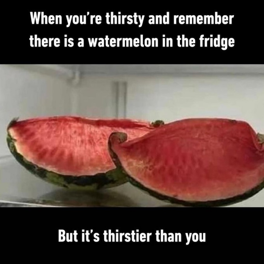 Watermelon in the fridge meme
