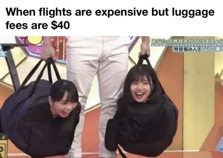 When flights are expensive meme