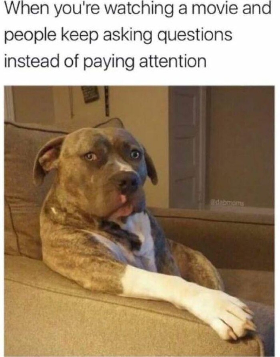 When you are watching a movie and people keep asking instead of paying attention