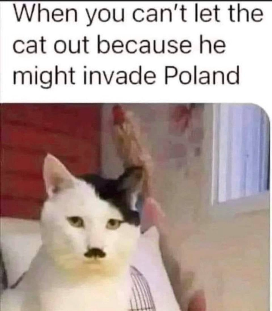 When you cant let the cat out because he might invade Poland