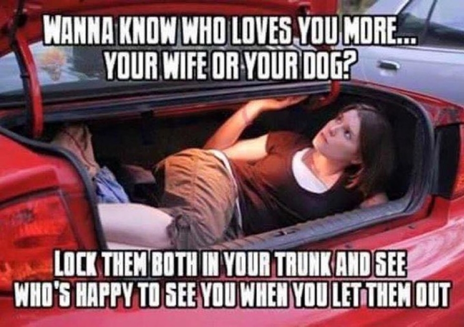 Who loves you more – your wife or your dog