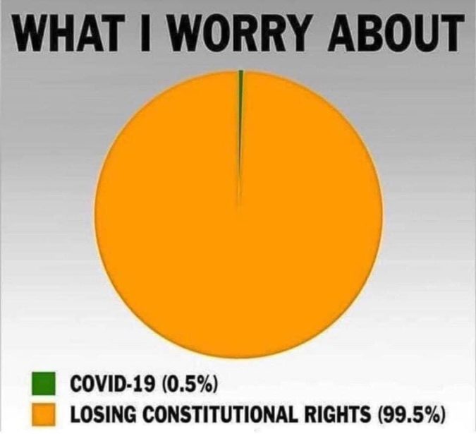 covid what i worry about covid vs constitutional rights meme