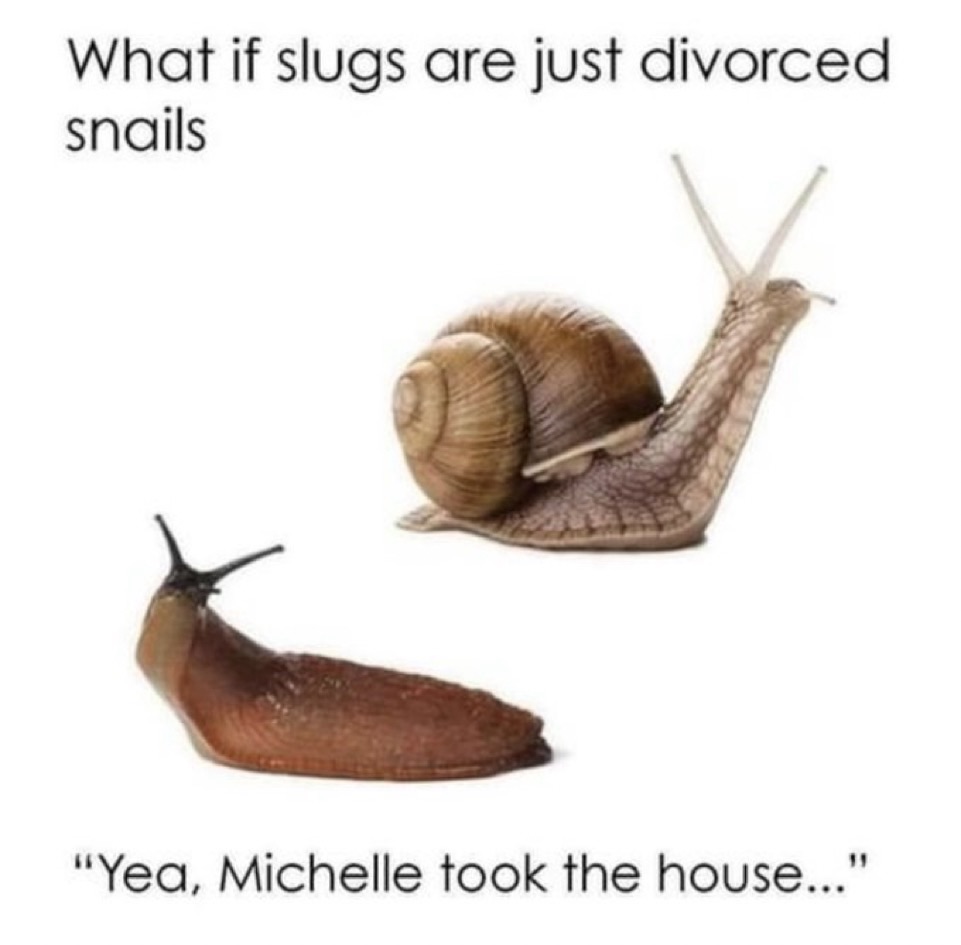 Divorce meme