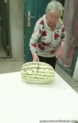 grandma cuts watermelon breaks table gif