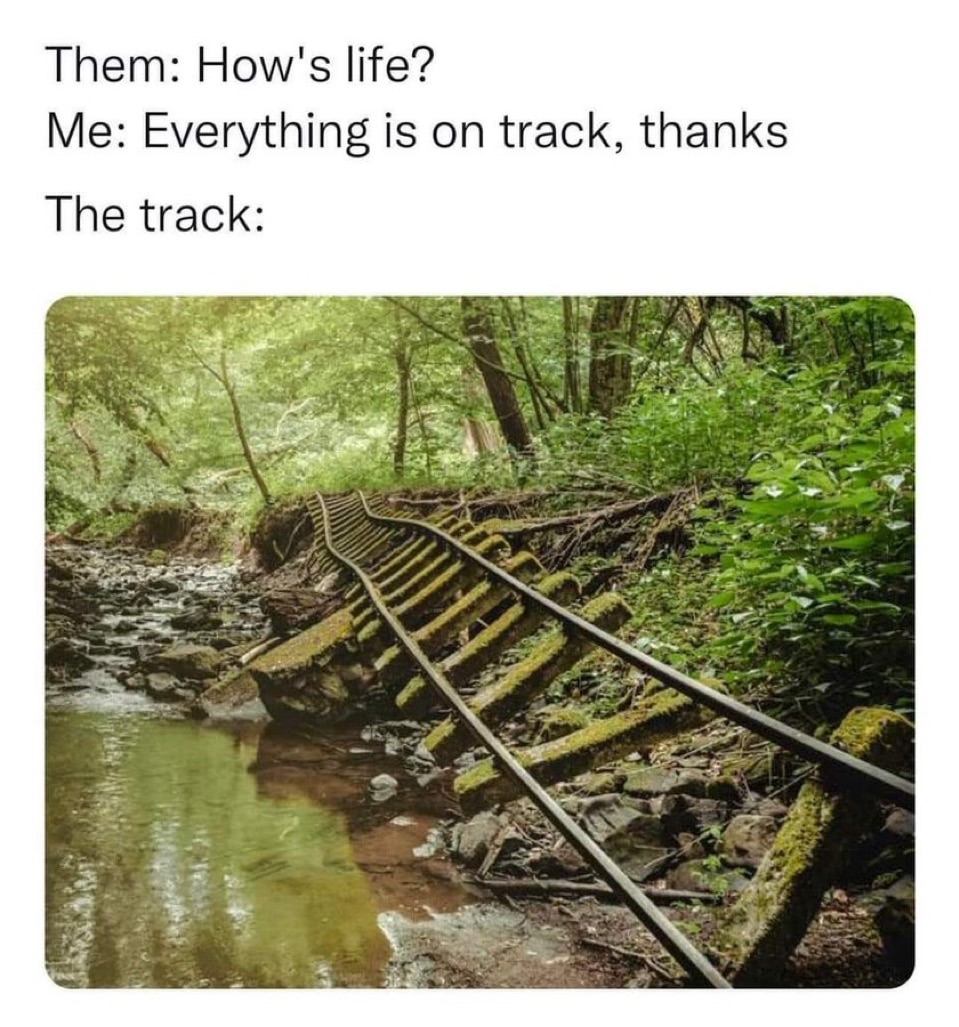 How is life meme