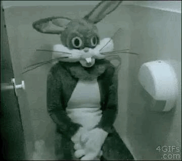 join me gif rabbit in the washroom