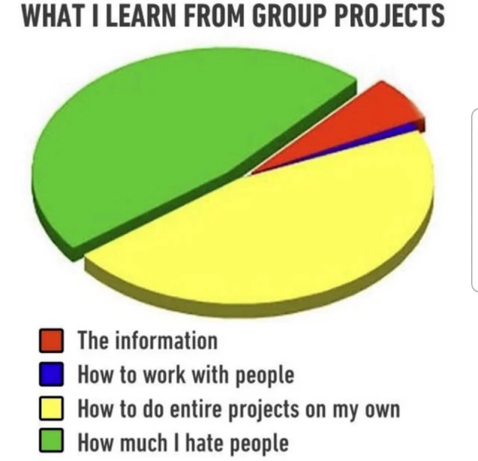 Projects meme
