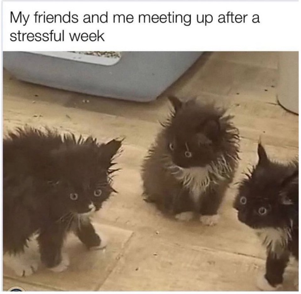 Stressful week meme